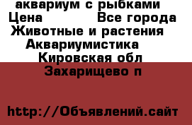 аквариум с рыбками › Цена ­ 1 000 - Все города Животные и растения » Аквариумистика   . Кировская обл.,Захарищево п.